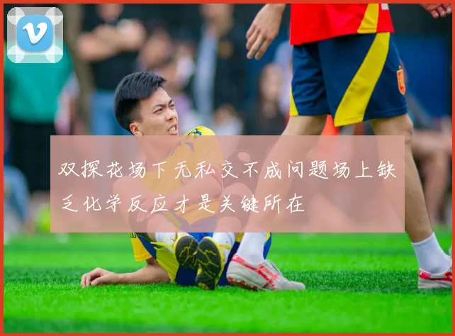 双探花场下无私交不成问题场上缺乏化学反应才是关键所在