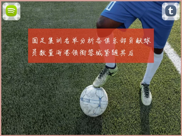 国足集训名单分析各俱乐部贡献球员数量海港领衔蓉城紧随其后